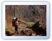 Cliquer sur la photo pour accder  l'album